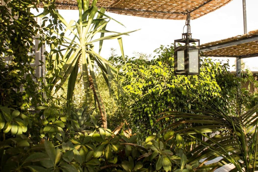 Villa Maison Noun Marrakesh